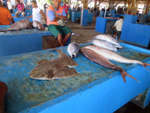 Рыба на рыбном рынке.