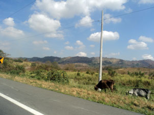 Пейзаж по дороге из Гуаякиля в Хипихапа.