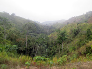 Вид с дороги из Аренильяса в Аламор.