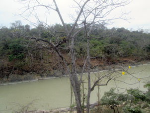 Река Пуянго.