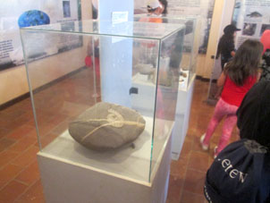 А это экспозиция окаменелостей в музее Пуянго.