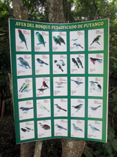 Плакат с изображением редких птиц заповедника.