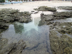 Выходы скальных пород на пляже.