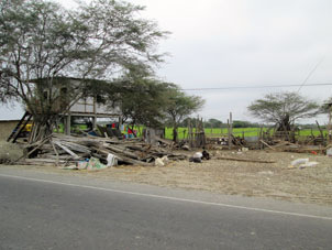 Сельское подворье по дороге в Пуэрто-Писарро.