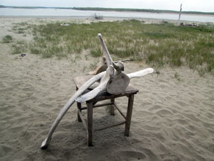 А это - китовая кость, в честь которой назван остров. Вот она выставлена для туристов-посетителей.