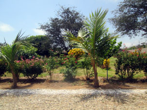 Сад в гостинице Пунта-дель-Соль.
