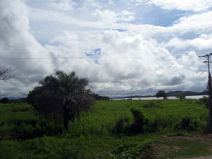 Берег реки Ориноко у города Пуэрто-Паэс.