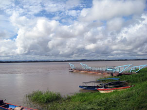 Левый берег Ориноко на месте переправы из штата Апуре в штат Амасонас (Амазонас).