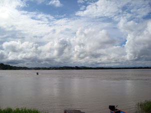 Левый берег Ориноко на месте переправы из штата Апуре в штат Амасонас (Амазонас).