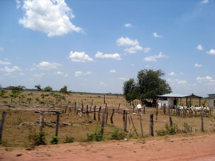 Сельский пейзаж венесуэльской равнины в районе Элорсы.