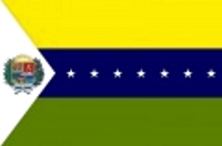 Флаг штата Апуре