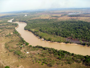 Вдоль реки можно увидеть поля и плантации бананов.