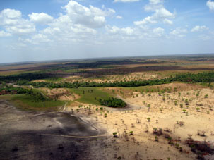 Равнина на юго-востоке штата Апуре.