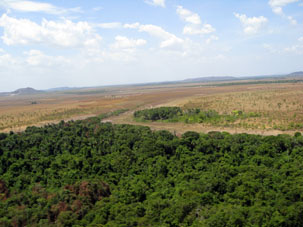 Высохшие травы и зелёные леса в районе Пуэрто Паэса.