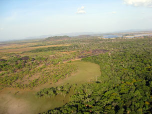 Островки леса и выходы скальных пород среди пересохших травянистых равнин Ориноко.