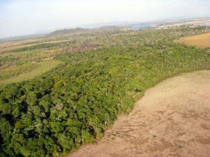 Островки леса и выходы скальных пород среди пересохших травянистых равнин Ориноко.