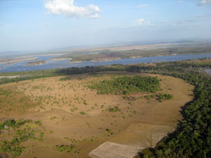 Полосы леса, поля и пастбища на левом берегу Ориноко.