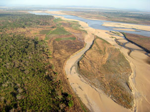 Русло притока Мета, который в сухой сезон сохранился в виде маленьких ручейков.