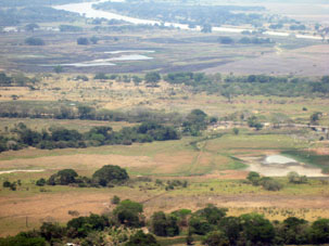 Равнины штата Апуре с вертолёта Ми-17, летящего из Пуэрто-Паэса в Сан-Фернандо-де-Апуре.