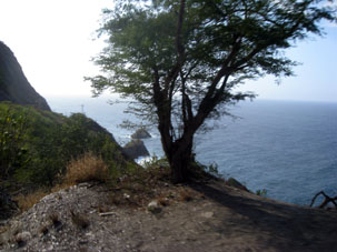 Фотография Карибского берега Арагуа по дороге из бухты Ката в Окумаре.