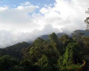 Южные склоны Кордильера де ла Коста, обращённые к Маракаю.