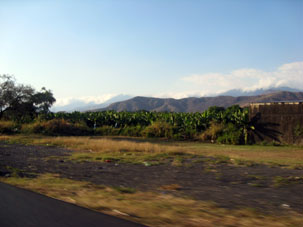 Поля штата Арагуа.
