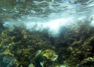 Карибское море бурлит. Вид из-под воды.