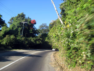 Поворот на горной дороге в Окумаре.