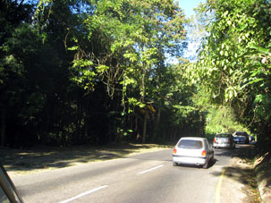 Далее горная дорога пошла через тропический лес по северному склону Кордильеры-де-ла-Коста.