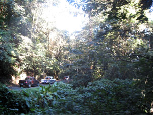 Горная дорога среди горного тропического леса.