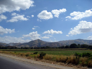 Поля вдоль регионального шоссе Валенсия-Каракас.