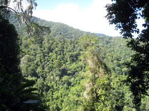 Склоны Кордильеры де ла Коста.
