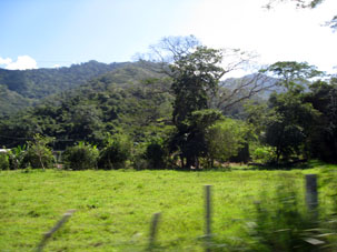 Сельскохозяйственные поля в Окумаре.