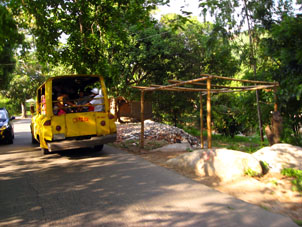 Местные автобусики на Карибах и Канарах называются гуагуа.