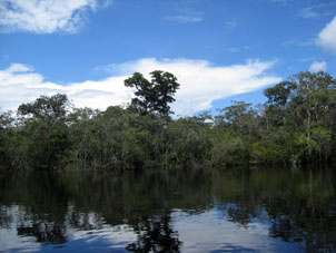 Разлив на реке Аутана в сезон дождей, который на юге Венесуэлы называют зимой.