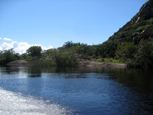 Такие же воды в реке Риу Негру, в бассейне которой произрастают затопляемые на восемь месяцев леса, а само название реки переводится, как Чёрная Река. Именно в Риу Негру впадает река Касикьяре, вытекающая из Ориноко.