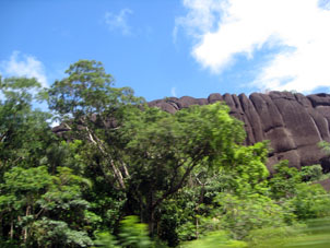 Гранитные скалы среди тропической растительности.