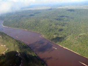 Берега реки Парагуа покрыты лесами, среди которых видны поляны, что наводит на мысль, что кто-то здесь занимается сельским или лесным хозяйством, хотя избушек или каких-то других строений не видно.