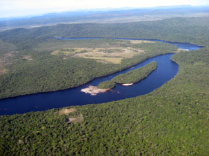 На реке Каррао островки тоже покрыты лесами, и в этой зоне лесов больше, чем травяных полей.