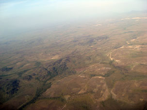 Север штата Боливар занимают холмистые равнины.