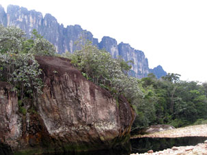 Скала-глыба на берегу реки Чурун постепенно завоёвывается растительностью. На заднем плане - Ауянтепуй.