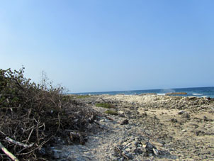 Северный берег, обращённый в сторону Карибского моря, менее пригоден для купания.