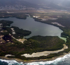 Мангры и лиманы на Карибском побережье штата Карабобо.