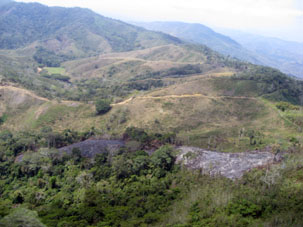 Здесь в горах на западе Карабобо тоже выжигают поля в сухой сезон.