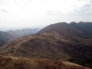 Древесно-кустарниковая растительность гор штата Карабобо.