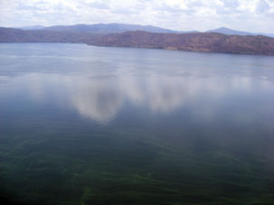 Сгустки цветущей воды в озере Валенсия.