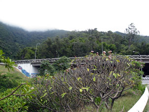 За проспектом Бояка, который играет роль окружной дороги на севере Каракаса, начинается национальный парк Авила.