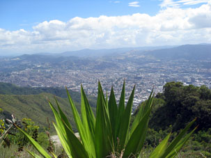 Вид на Каракас со склона выше пояса лесов.