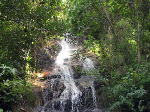 В парке Авила много ручьёв, и выше города Каракаса они с чистой и вкусной водой.