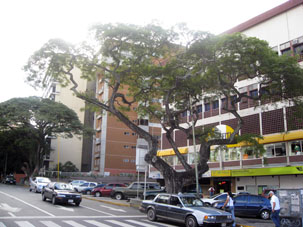 Улица Андреса Бельо в микрорайоне Альтамира.